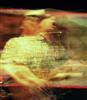 Webb, trippin' into R'n'R Nirvana, at Skipper's Smokehouse, pic #11